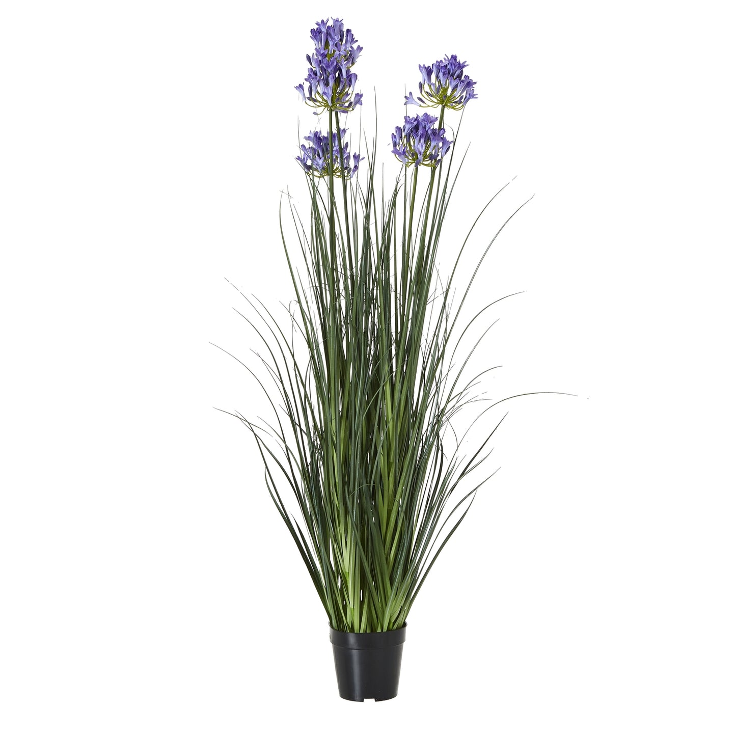 https://www.hill-interiors.com/images/giant/23716-c.jpg