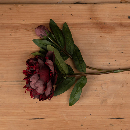 1x Burgundy Peony Rose ( luxury artificial arrangements)