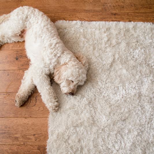 Redefine Your Space: A Comprehensive Guide to Decorating with Rugs