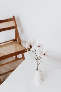 Harmony at Home: Wellness-Focused Decor Ideas for a Healthy Haven in 2024