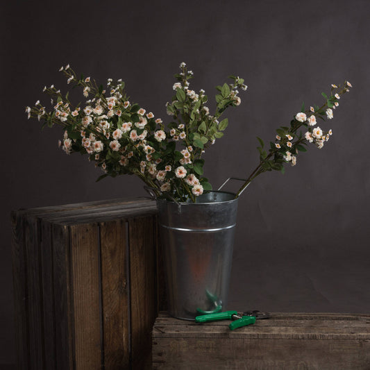 https://www.hill-interiors.com/images/giant/19043-c.jpg