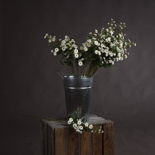 https://www.hill-interiors.com/images/giant/19046-c.jpg