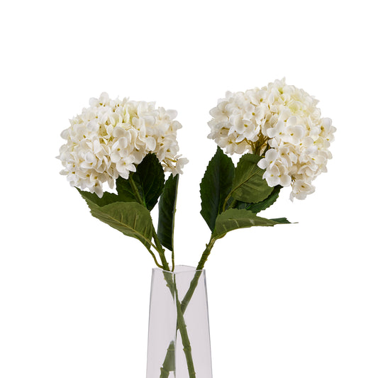 https://www.hill-interiors.com/images/giant/22632-c.jpg