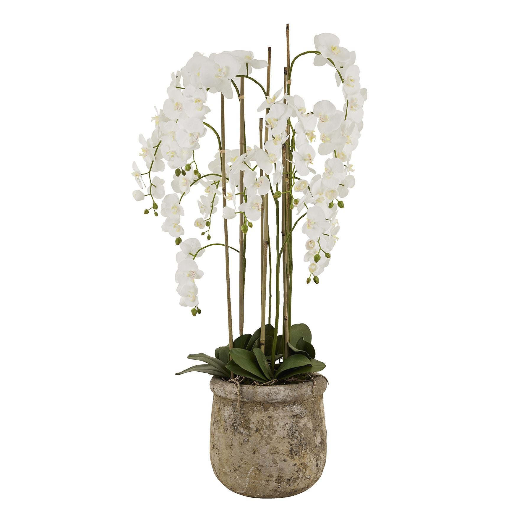 https://www.hill-interiors.com/images/giant/22641-c.jpg