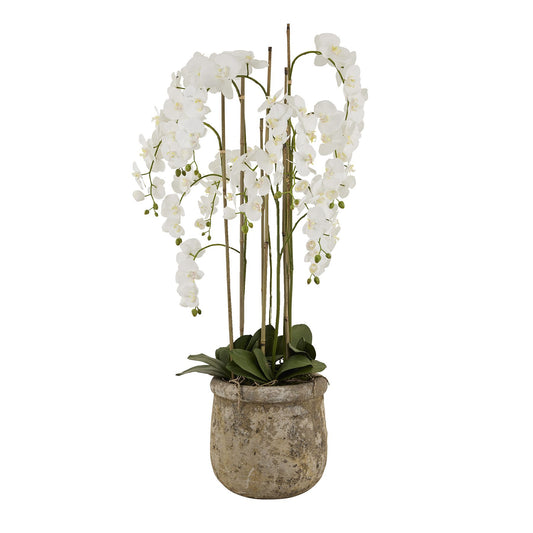 https://www.hill-interiors.com/images/giant/22641-c.jpg