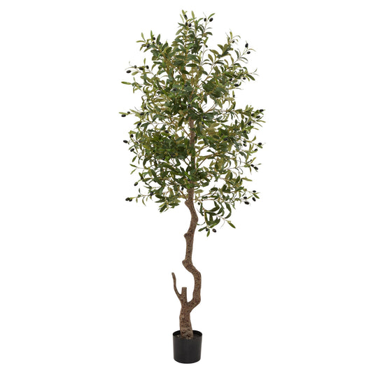 https://www.hill-interiors.com/images/giant/23081-c.jpg