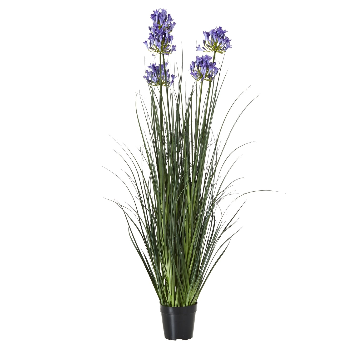 https://www.hill-interiors.com/images/giant/23716-c.jpg
