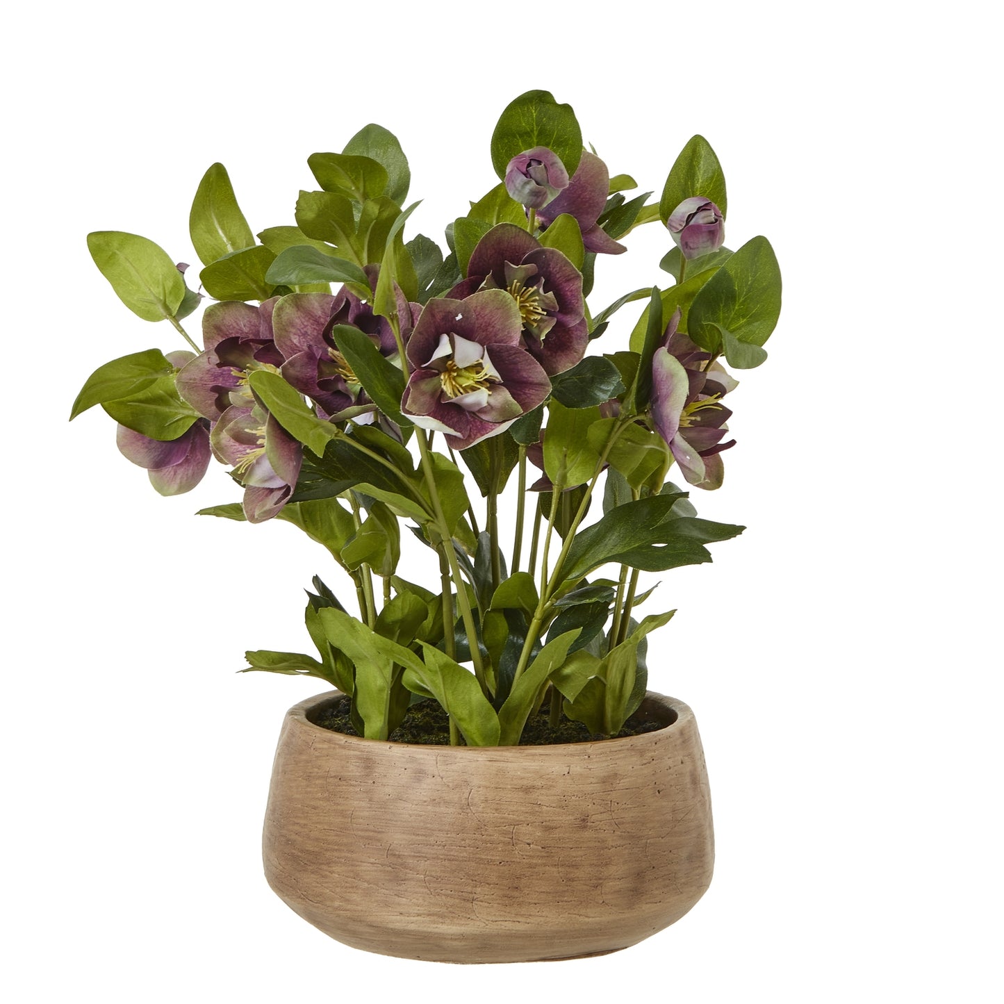 https://www.hill-interiors.com/images/giant/23763-c.jpg
