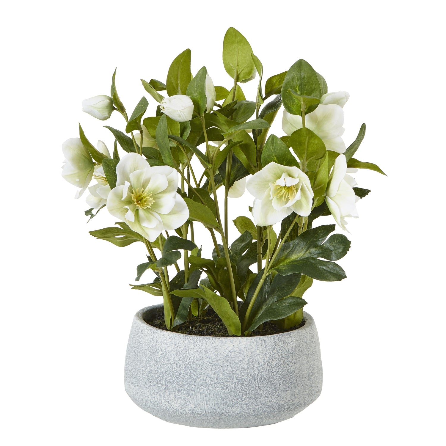 https://www.hill-interiors.com/images/giant/23764-c.jpg