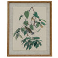 Flora & Fauna Collection Warblers On Linen In Beaded Frame GLASS Art & Printed Products in brown styled interior setting, luxury home decor