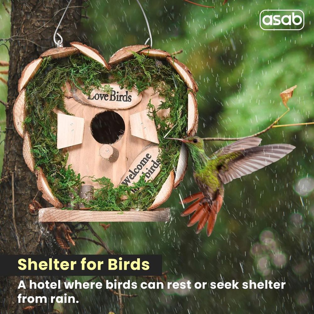 ASAB Bird Hotel Wooden
