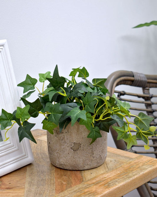 Artificial Hedera Ivy Potted Plant Green 19cm