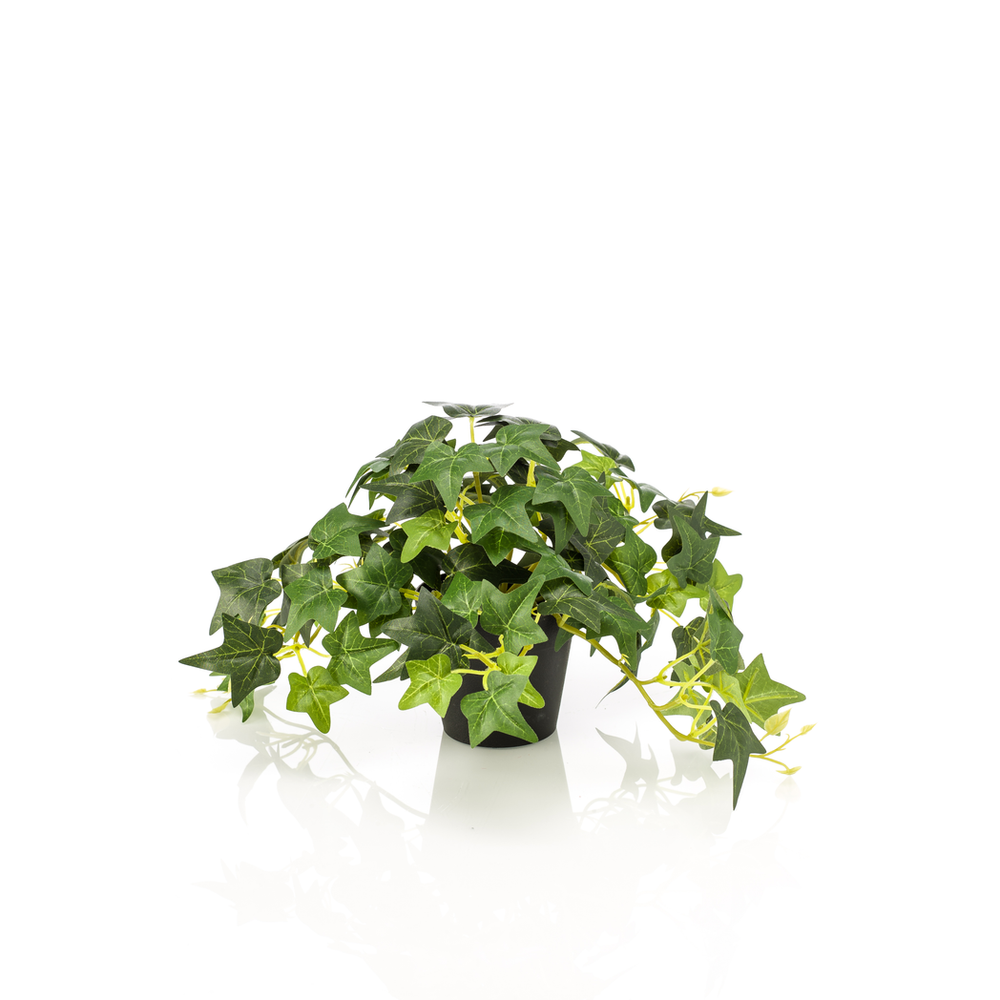 Artificial Hedera Ivy Potted Plant Green 19cm