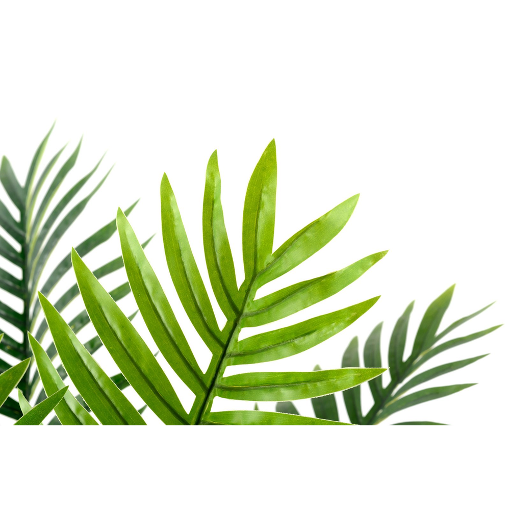 Palm Tree 100cm Home Decor