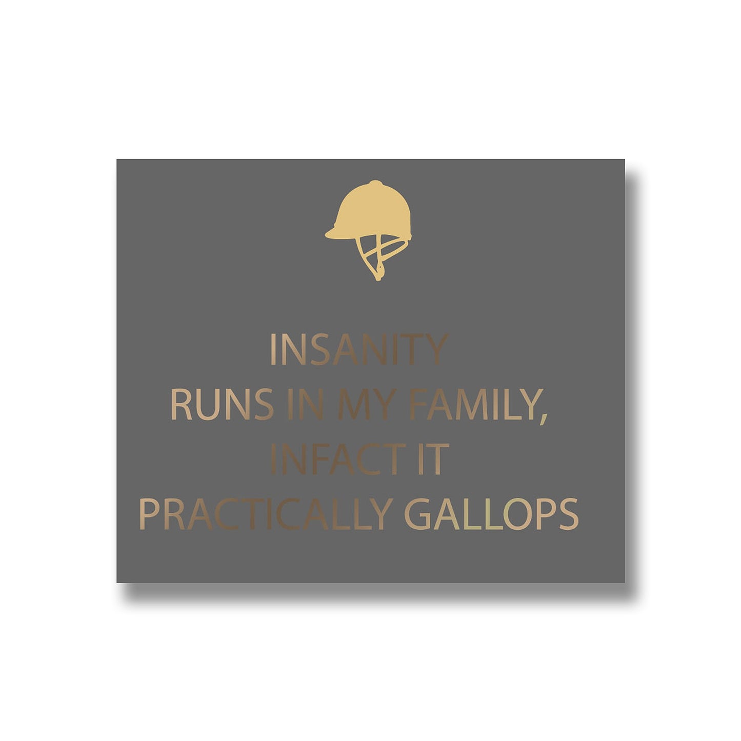 Insanity Silver Foil Plaque - HomenestUK